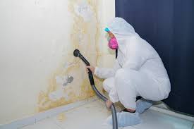 Mold Removal for HVAC Installations in Omaha, TX